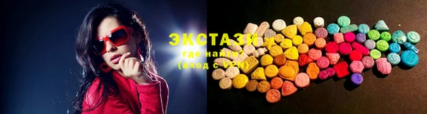 ECSTASY Бородино